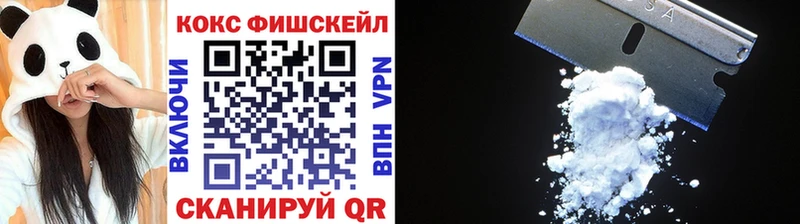 где купить   Шимановск  Кокаин VHQ 